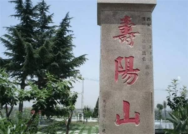 壽陽山公墓有哪些墓型選擇？