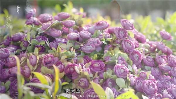 霸陵墓園和霸陵墓園新區(qū)是一個(gè)嗎