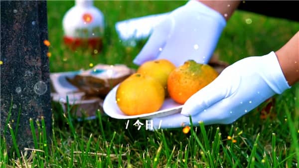 西安霸陵墓園高端定制服務(wù)解析